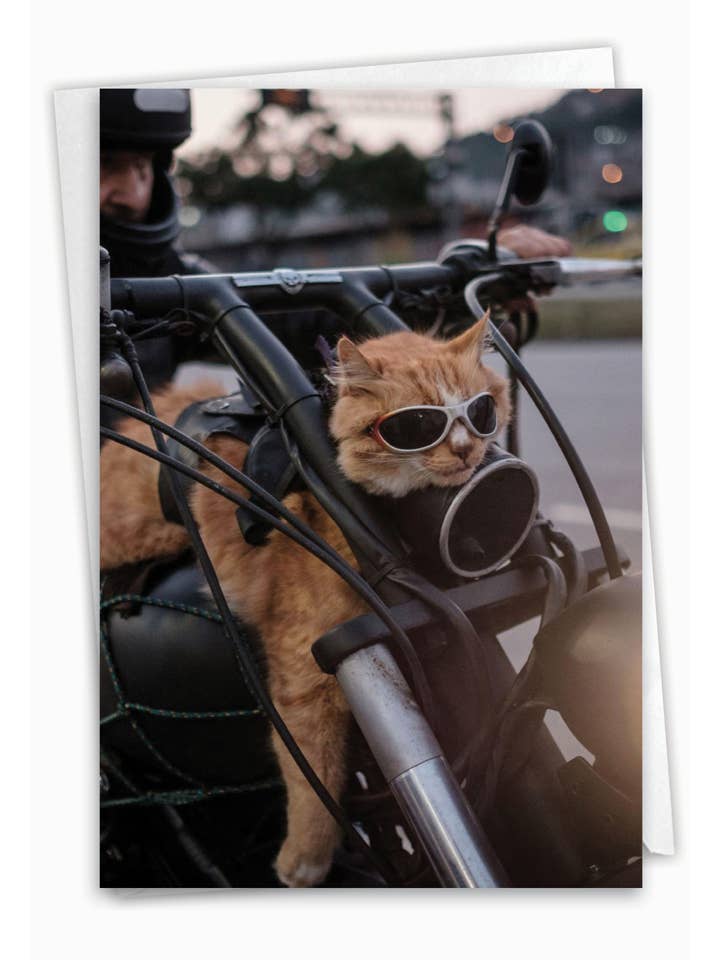 Birthday Card - Cat Biker for wholesale by NobleWorks