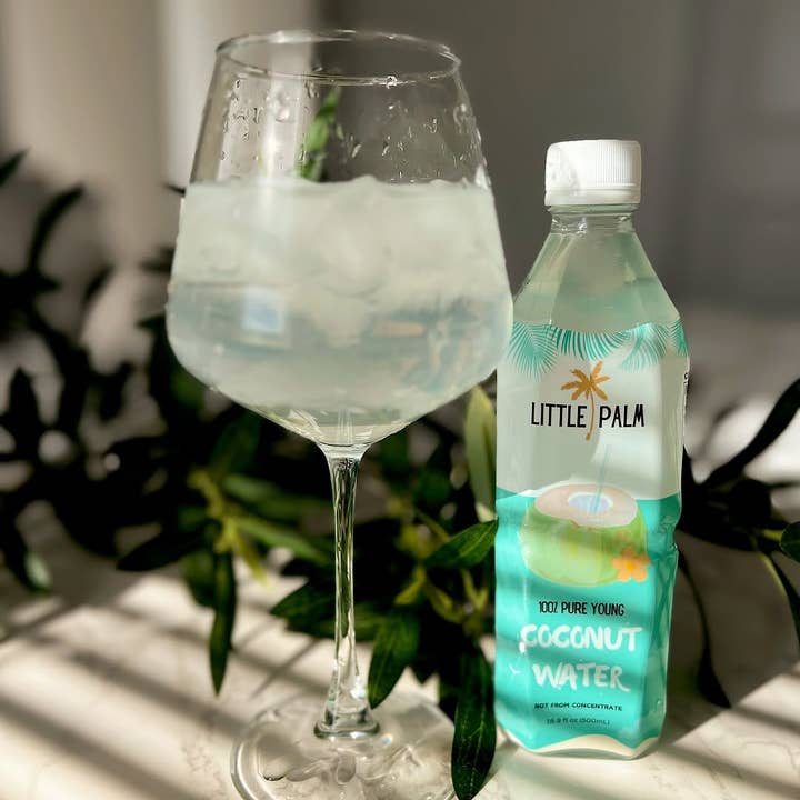 Little Palm - Wholesale Flavored/Infused Water (Non-Carbonated) - Little Palm - Young Coconut Water