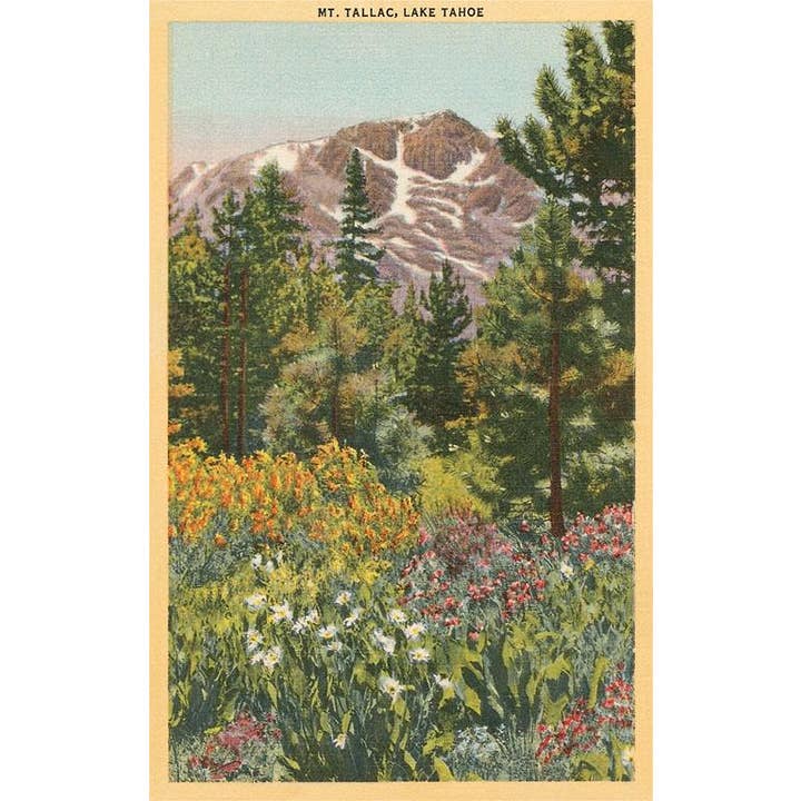 Postcard CA-1163 Mt. Tallac, Lake Tahoe for wholesale by Found Image Press