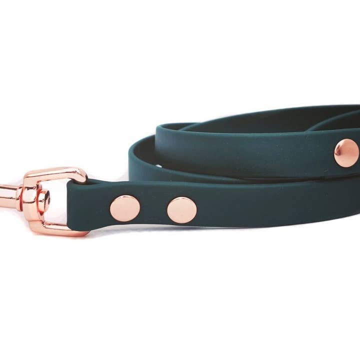 Forest Green Biothane Dog Lead -Metal Fittings-Handmade for wholesale by Pet Pooch Boutique