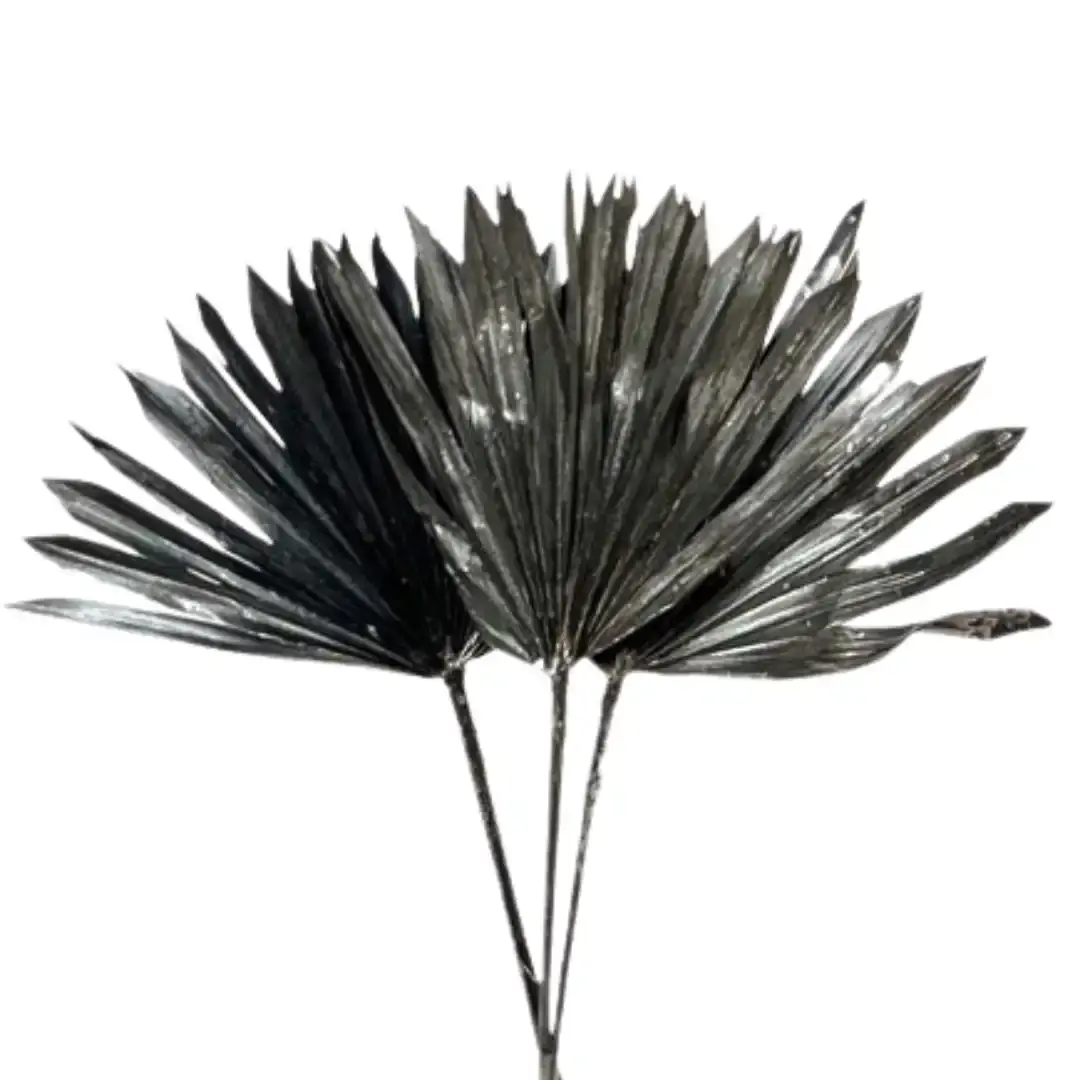 Botanico Ltd. – wholesale Torkade/pressade blommor – Kungspalm Sol6