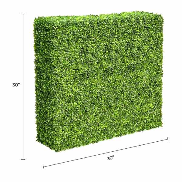Designer Plants - Vente Plantes artificielles - Haie de Buis Artificielle Vert Clair Premium 30"L x 30"H Qualité Commerciale Résistante aux UV1