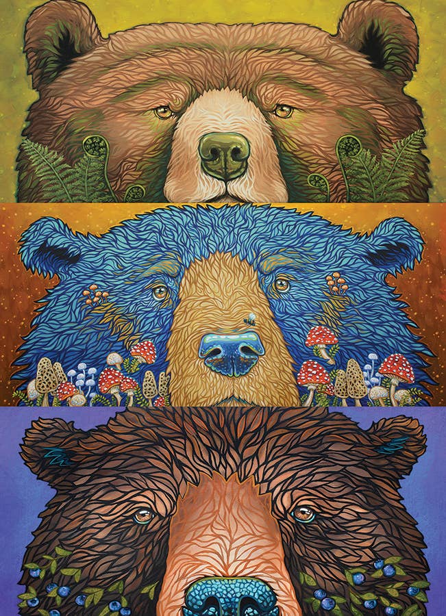 Outset Games and Cobble Hill Puzzles - Wholesale Puzzle - Adult - Bear Eyes: Harvest – 500-Piece Puzzle by Amanda Rose Warren1