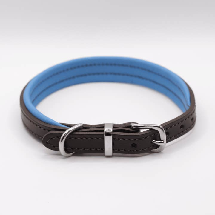 Padded Leather Collar Blue for wholesale by Dogs and Horses