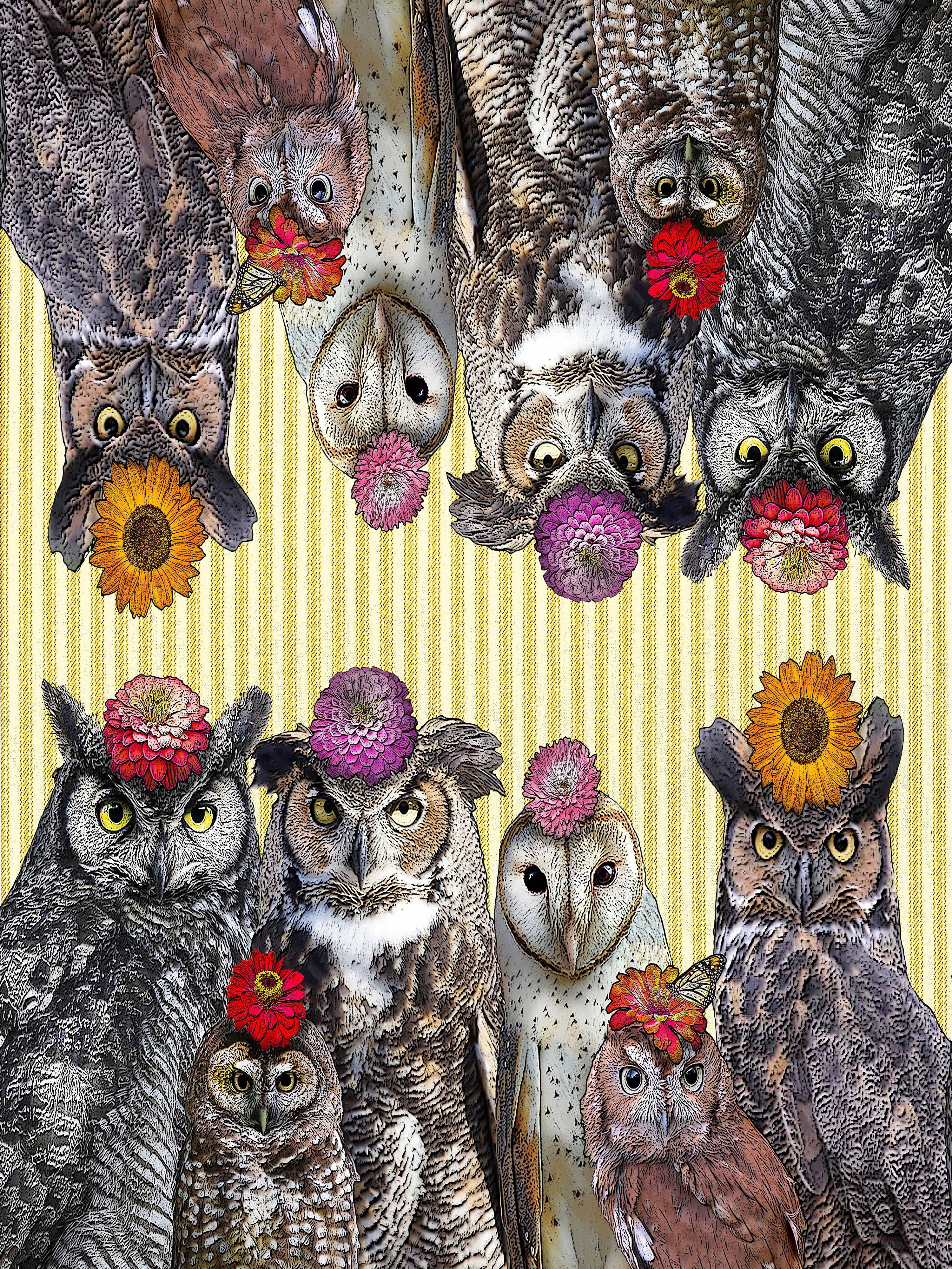 Alphie and Ollie - Wholesale Tea Towel - owls with flowers (ticking stripe) kitchen towel 100% cotton flour sack 18 x 24 inches0