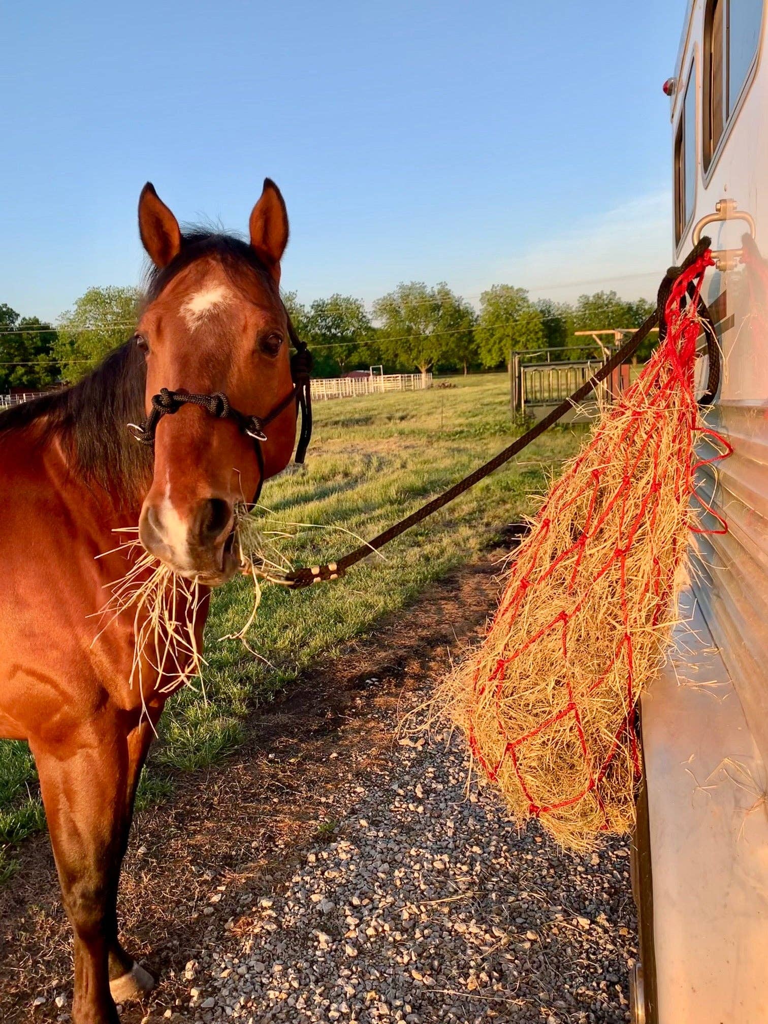 Smart Horse Gear - Wholesale Horseback Riding Gear - Hay Net Large1