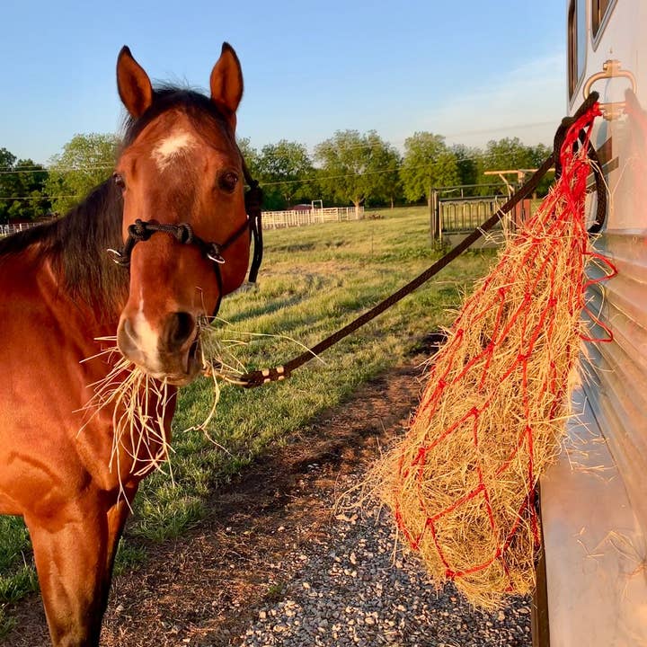 Smart Horse Gear - Wholesale Horseback Riding Gear - Hay Net Large1