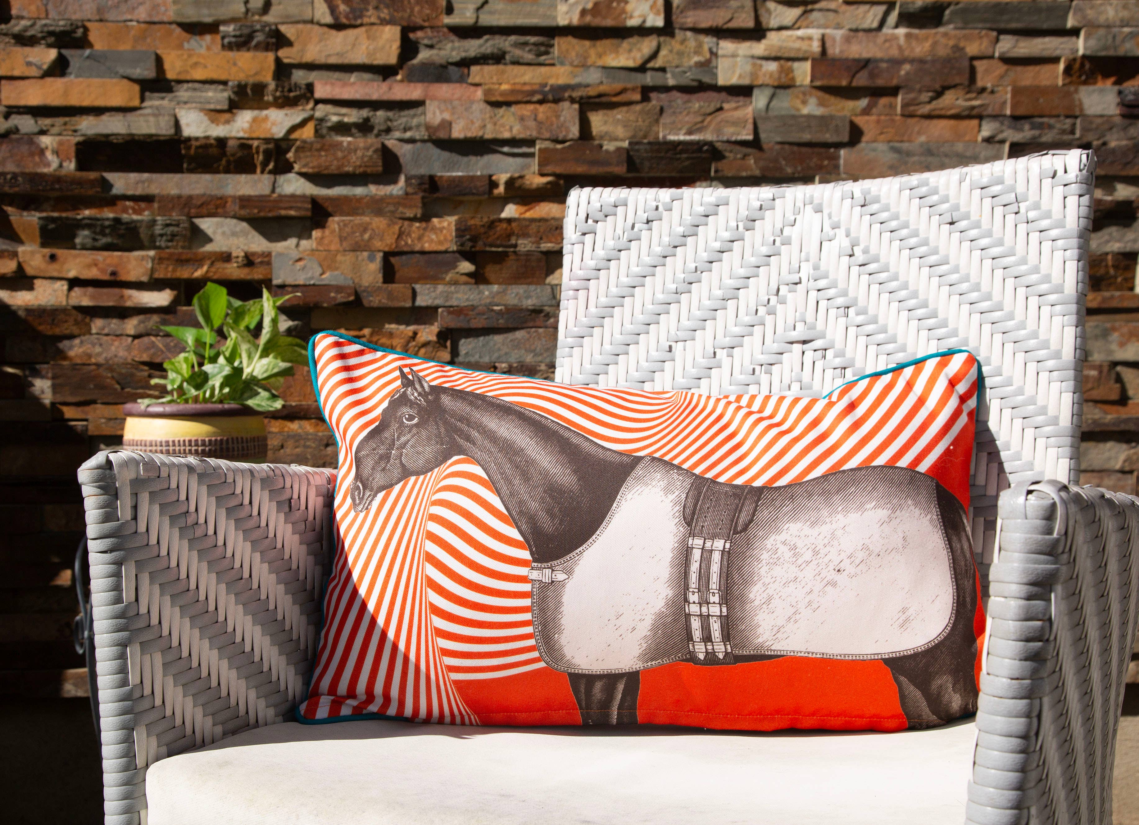 THOMASPAUL - Vente Coussin décoratif - COUSSIN D'EXTÉRIEUR CHEVAL OPTIQUE 12"X20"4