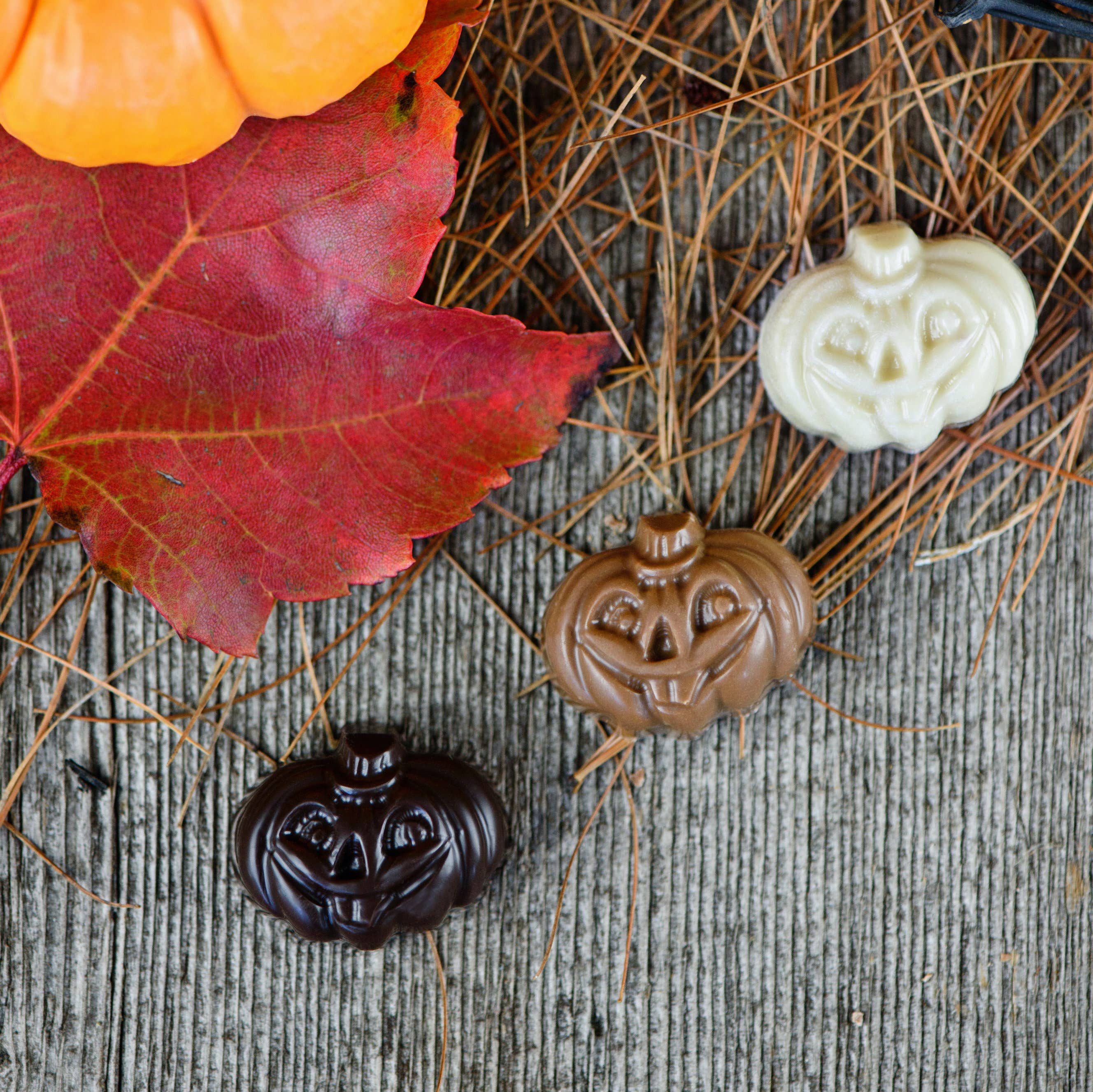 Dean's Sweets – wholesale Chocolate – Little Chocolate Pumpkins in Dark, Milk, & White Chocolate1