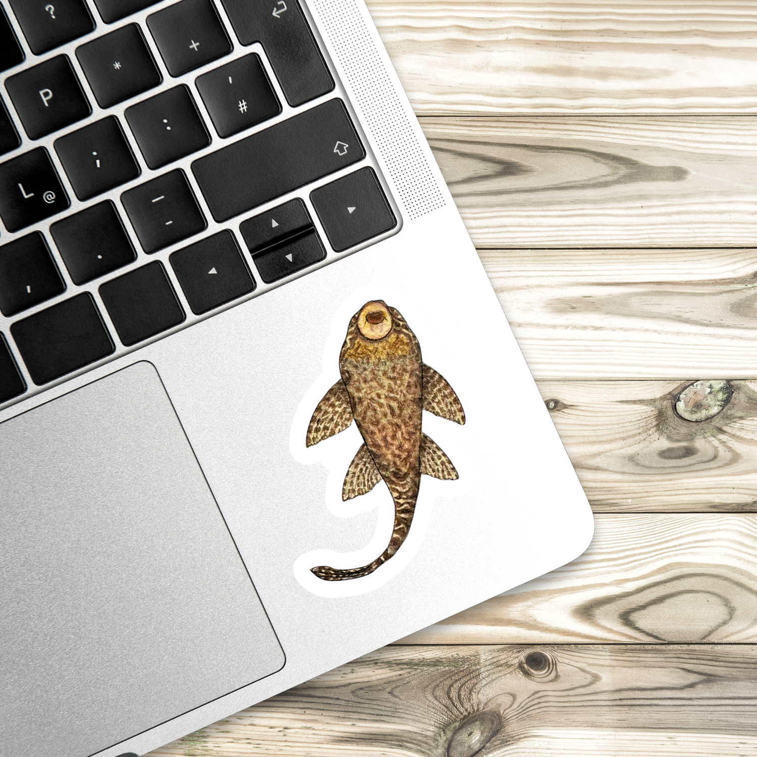 Fins and Frags - Wholesale Sticker - Handmade Pleco Sticker, for Fish & Aquarium Lovers1