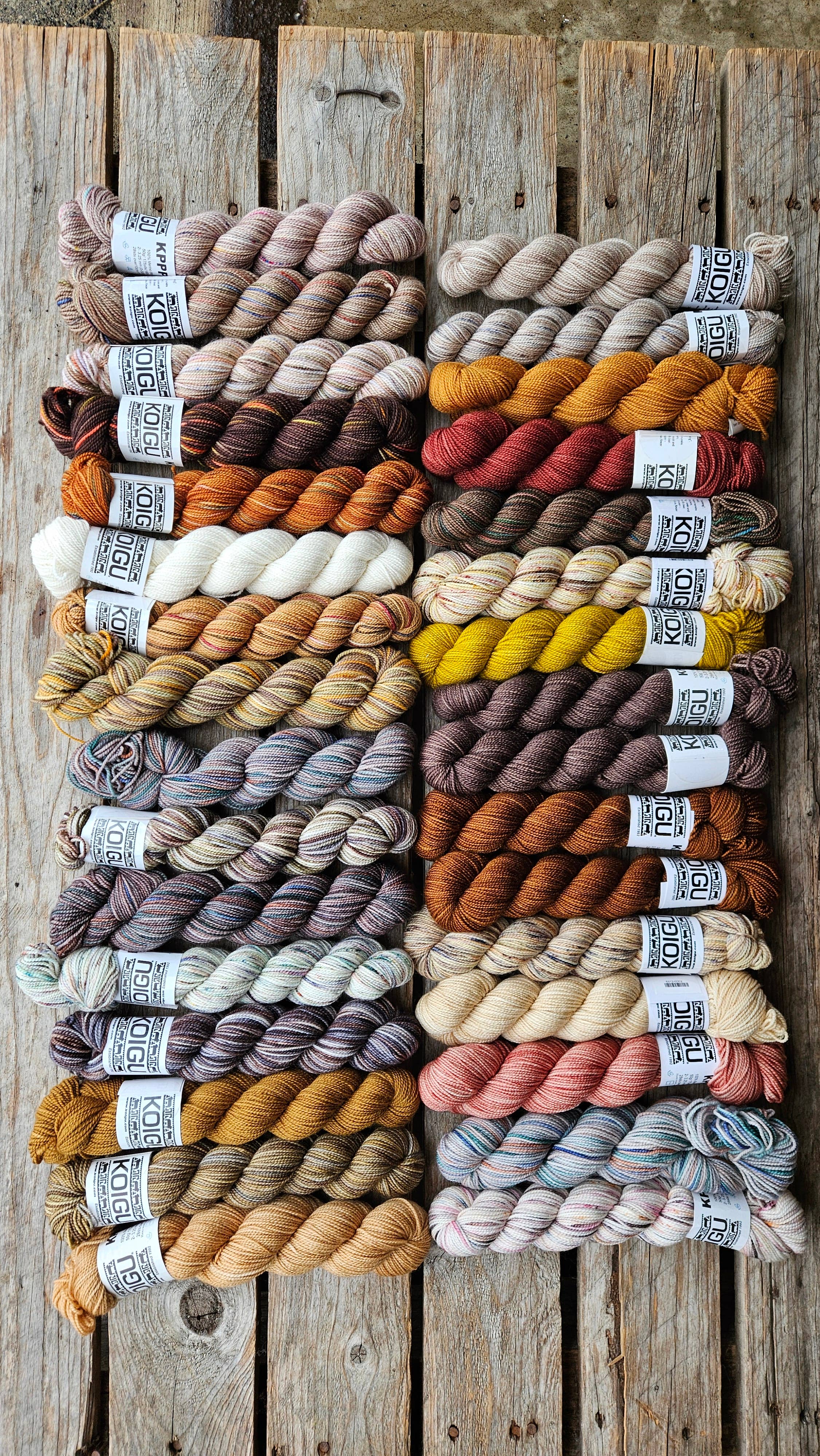 Koigu Wool Designs - Vendita all'ingrosso Attrezzi per lavoro a maglia/uncinetto - Kit per Uncinetto Coperta Baa Baa1