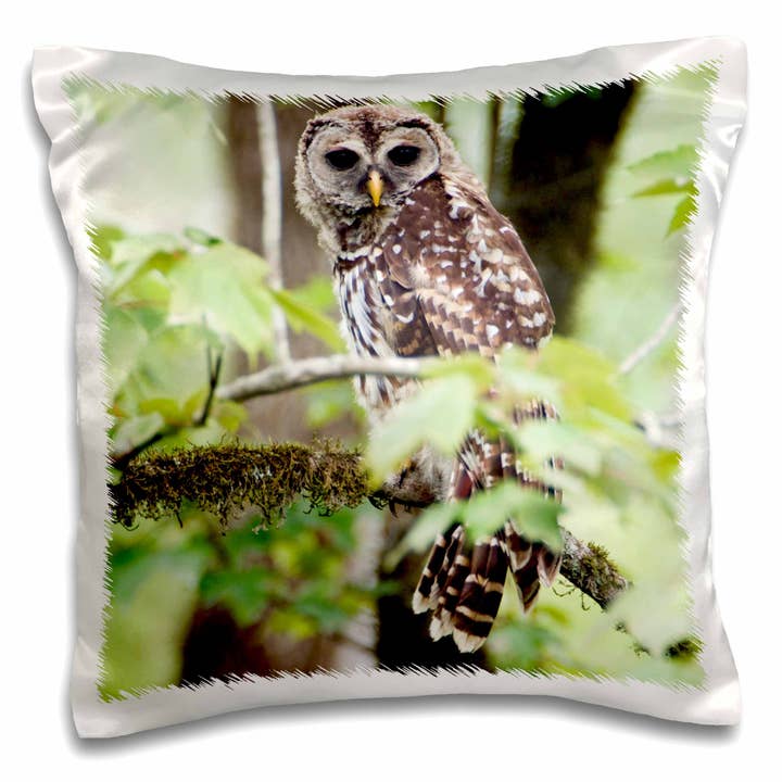 3dRose, Louisiana, nær Vacherie, Spurveugle (Strix varia) - US19 RTI0001 - Rob Tilley, Pudebetræk for engroshandel hos 3dRose