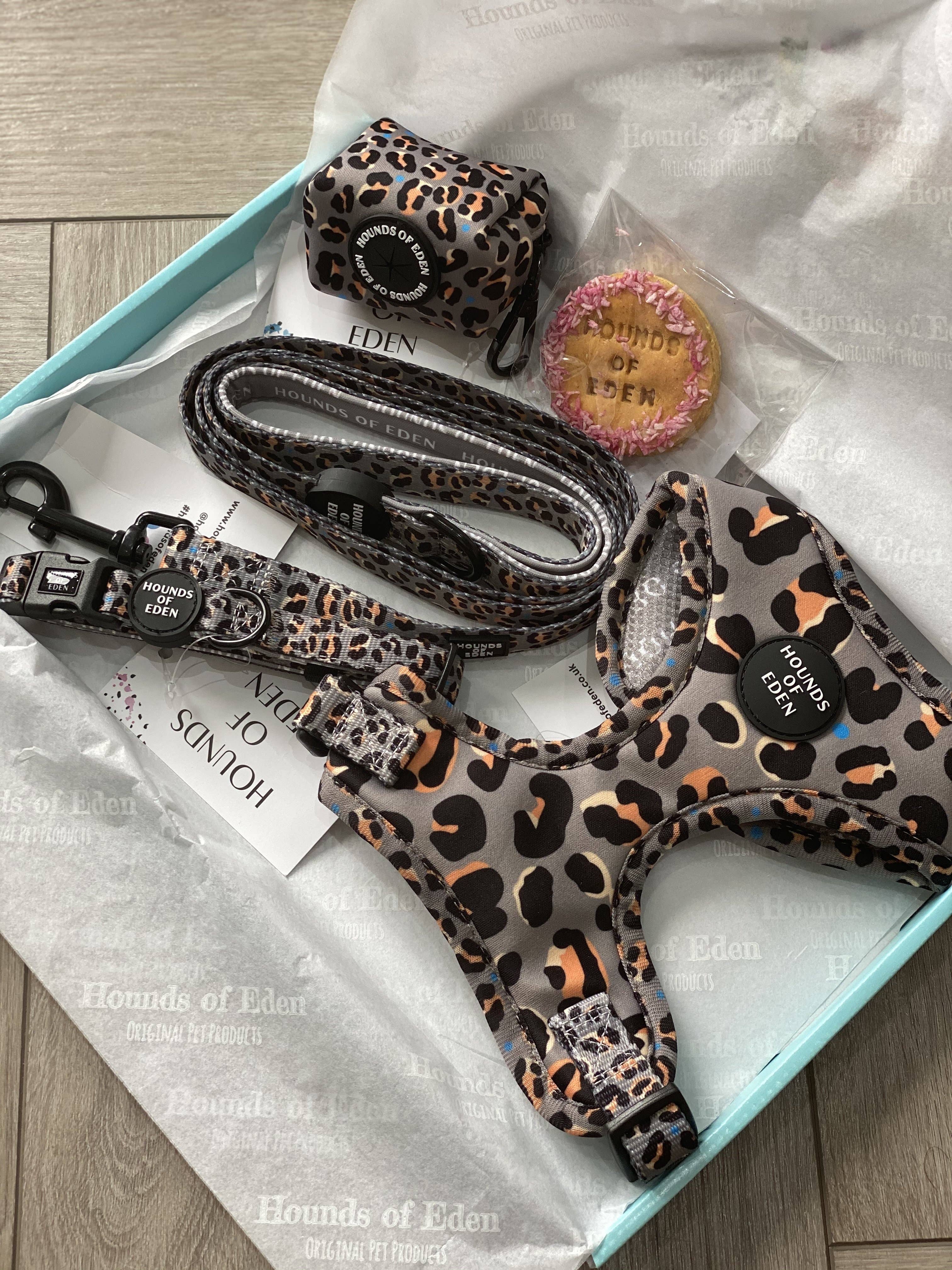 Hounds of Eden – Arnês – Cão por atacado – Steel Leopard - Arnês para cães cáqui/cinza3