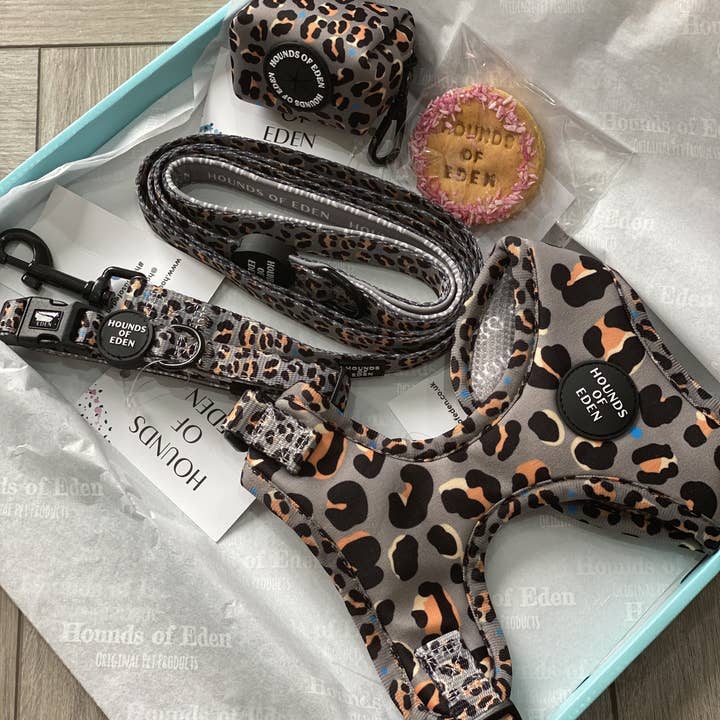 Hounds of Eden – Arnês – Cão por atacado – Steel Leopard - Arnês para cães cáqui/cinza3