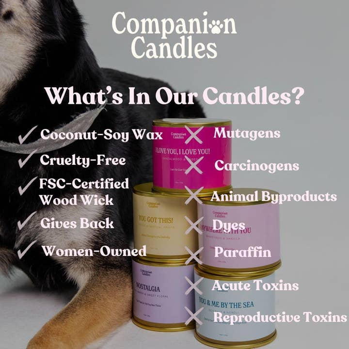 Companion Candles - Venta al por mayor Vela aromática de viaje - Vela aromática de coco y soja con sándalo y ámbar (segura para mascotas)5