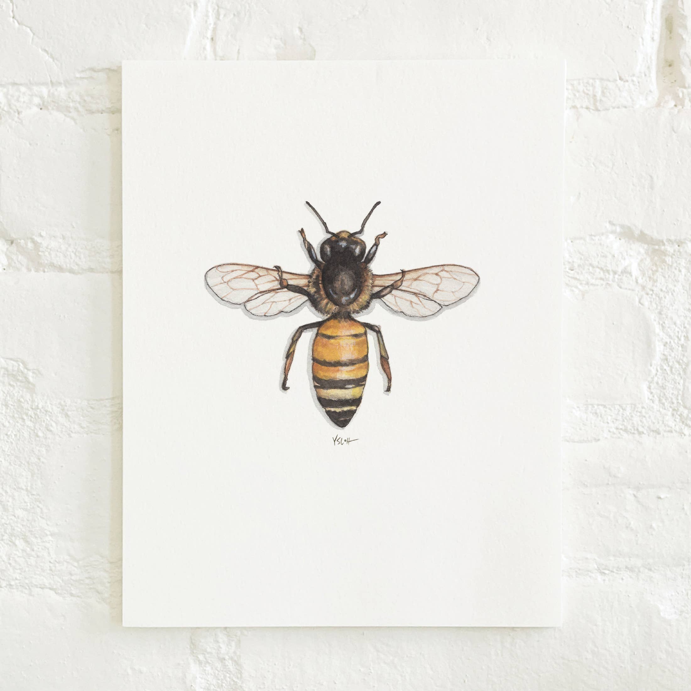 Yeesan Loh - Vente Affiche d'art - Impressions/Honey Bee1