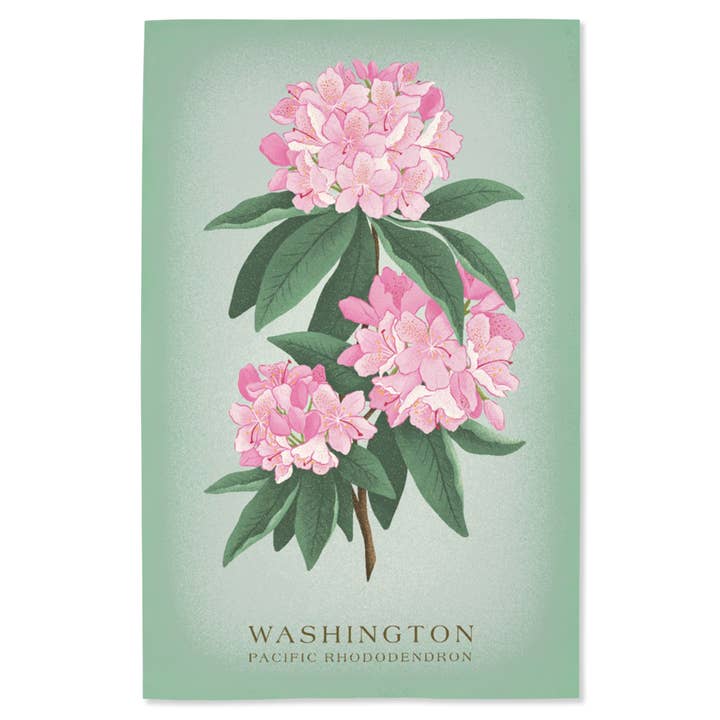 STAMPA GICLEE Washington, Vintage, Rododendro del Pacifico per la vendita all'ingrosso da parte di Lantern Press