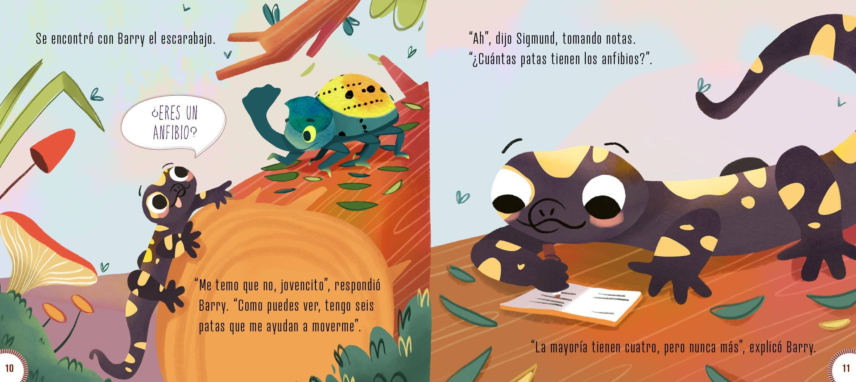 Amicus Publishing - Wholesale Early Reader Book (6-8) - ¿Eres un anfibio?3