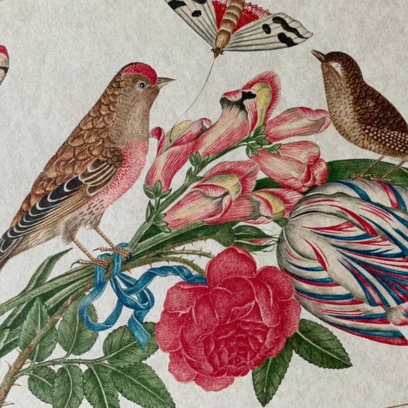 Magnifique Hearts - Wholesale Art Print - Ornithological Beautiful Botanical Bird Prints
