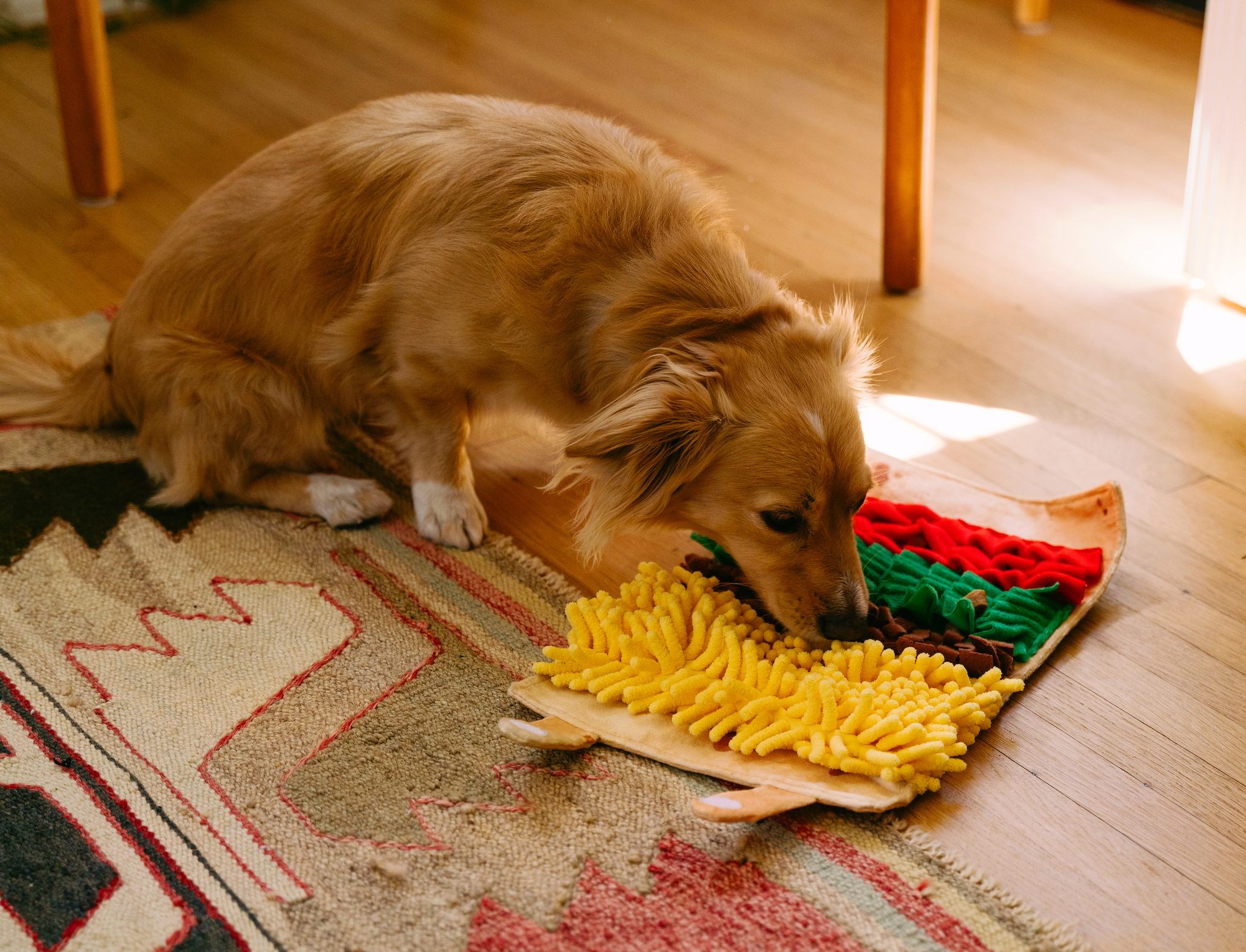 ZippyPaws - Vente Jouet – chien - Snufflerz Roll - Burrito - Jouet interactif pour chien6