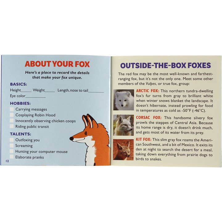 Peter Pauper Press - Wholesale Stuffed/Plush Toy - Kids & Baby - Hug a Fox Kit4