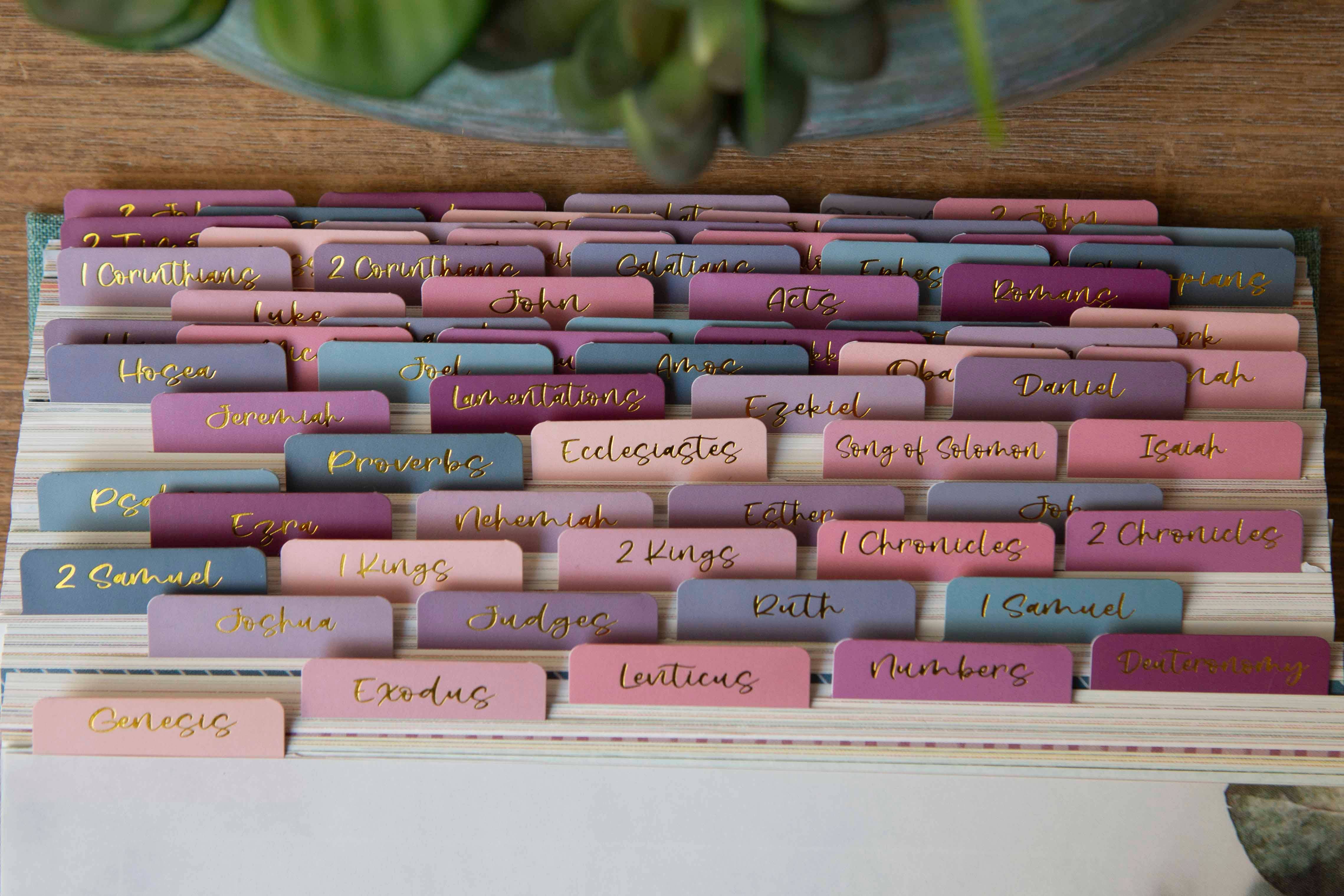 Chosen & Cherished - Wholesale Bookmark - Ombre Bible Index Tabs | Colorful Bible Tabs1