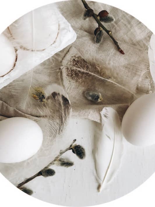 Ägg väggcirkel för wholesale av Gewoon ZieZo