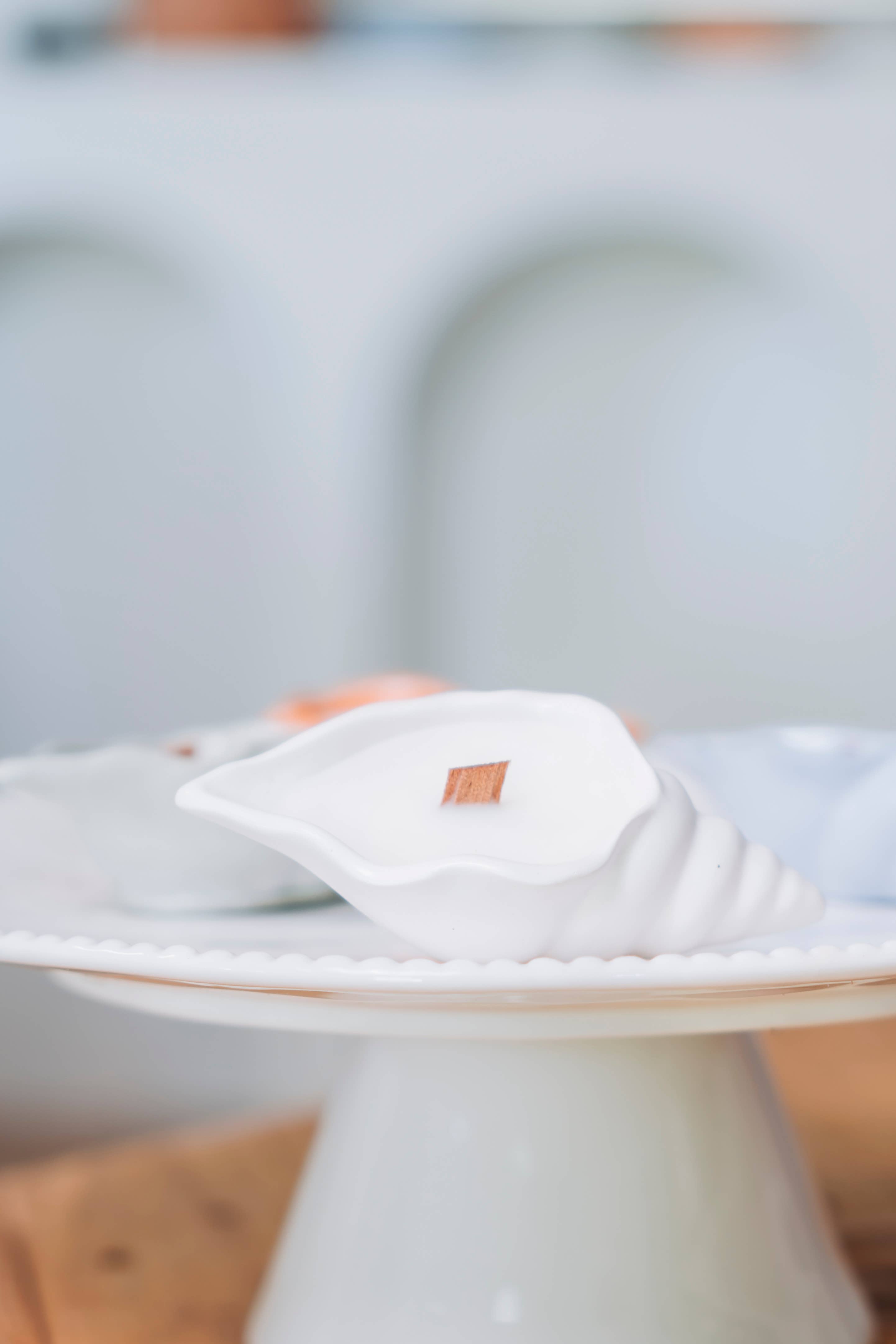 Agua Benta - Vente Bougies originales - Bougie coquillage Caranguejo0