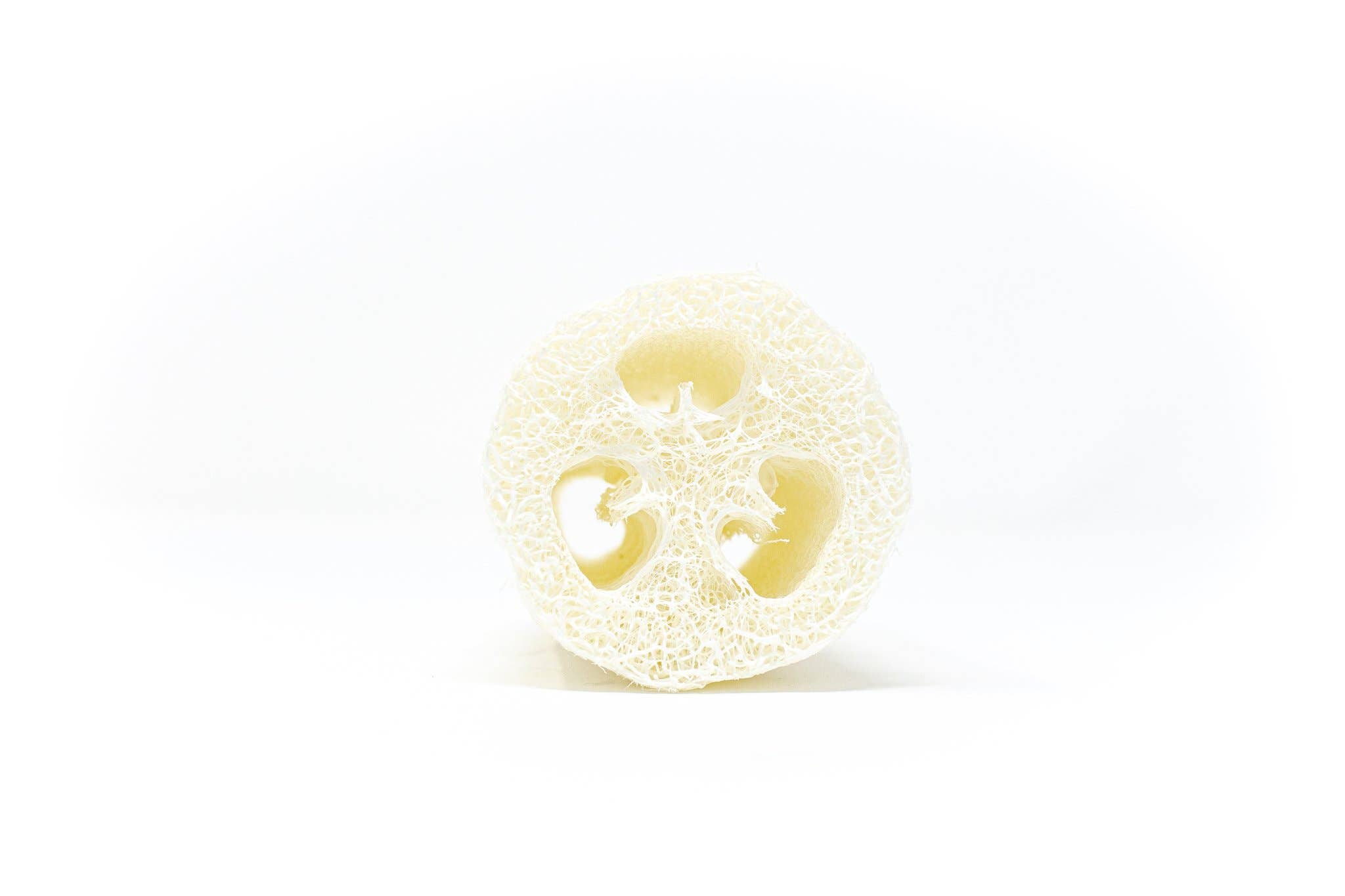 The Waste Less Shop - Wholesale Loofah - Natural Loofah Sponge – Exfoliating & Plastic-Free4