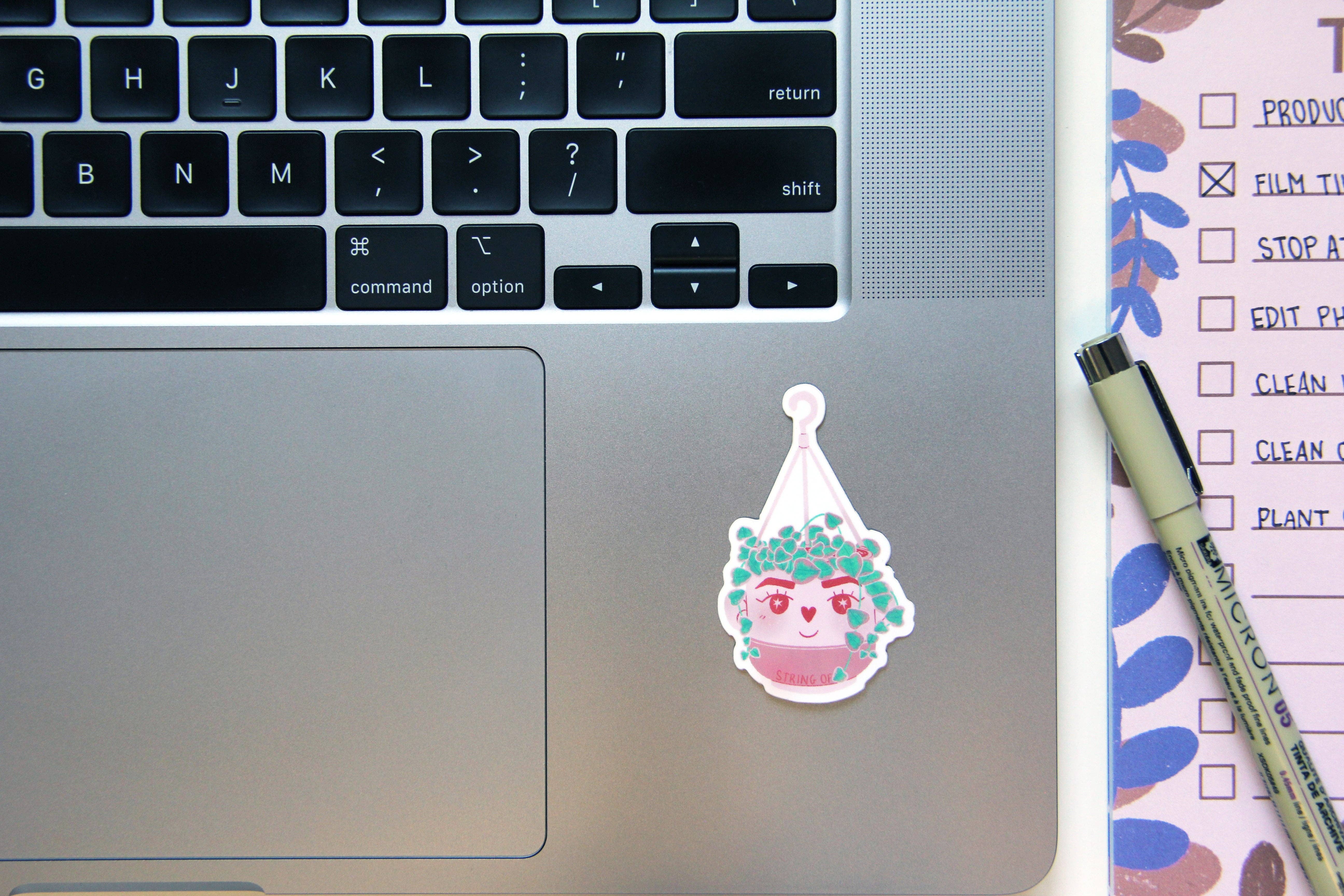 lu bremer design - Wholesale Sticker - variegated string of hearts plant sticker3