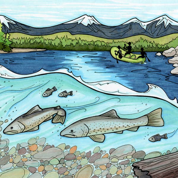 Michele Michael Art - Wholesale Sticker - Protect the Deschutes sticker2