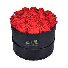 16 Preserved Roses Hat Box / Eternal rose by La Rose for wholesale by La Rose Preserved Beauty