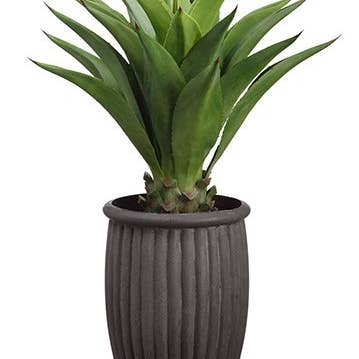 36" Agave Attenuata in Fiber Cement Planter Green for wholesale by Silk Flower Depot