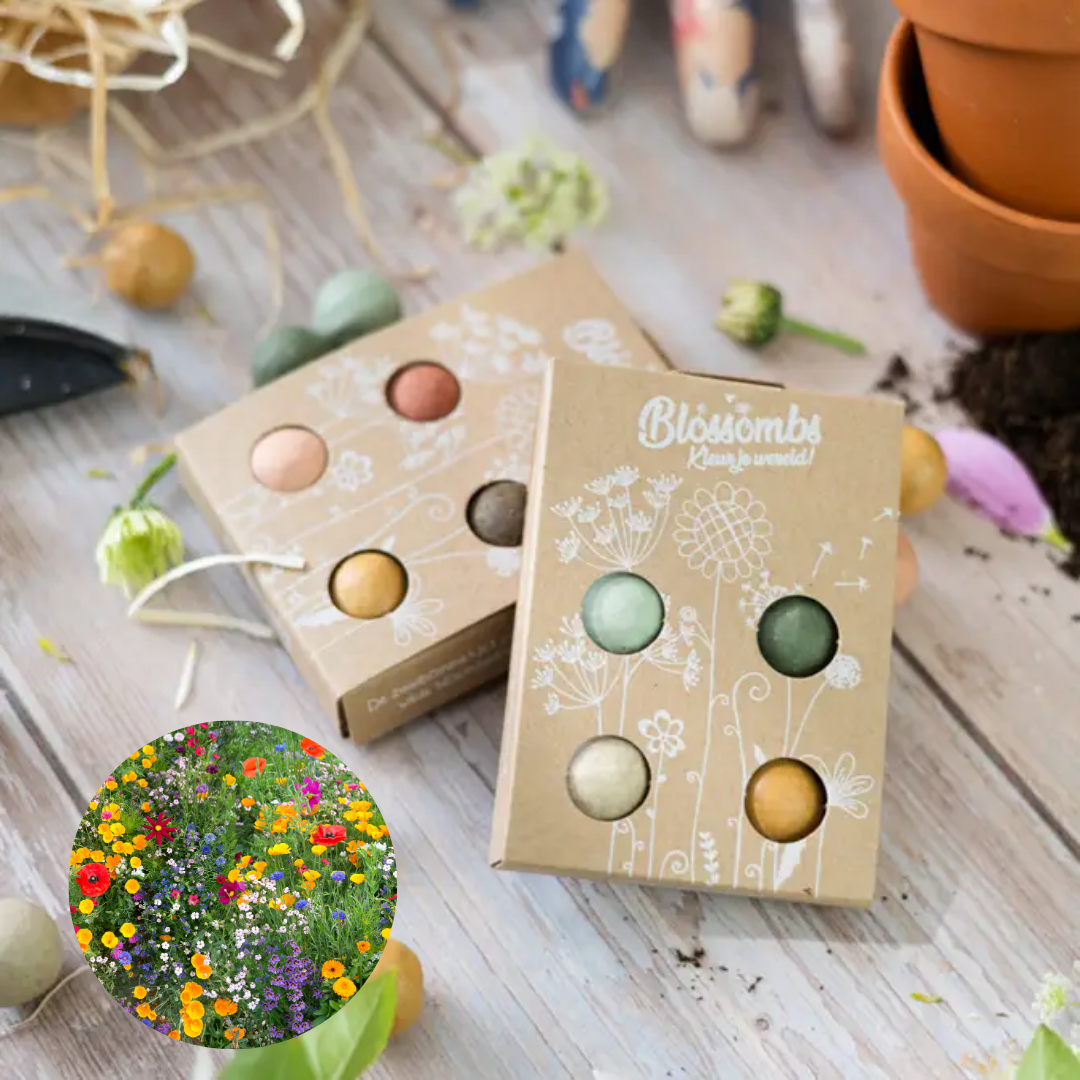 Buzzy Seeds Grow Gifts - Wholesale Plant Seeds - Merry Christmas Mini Box – 4 Wildflower Seed Bomb Gift1