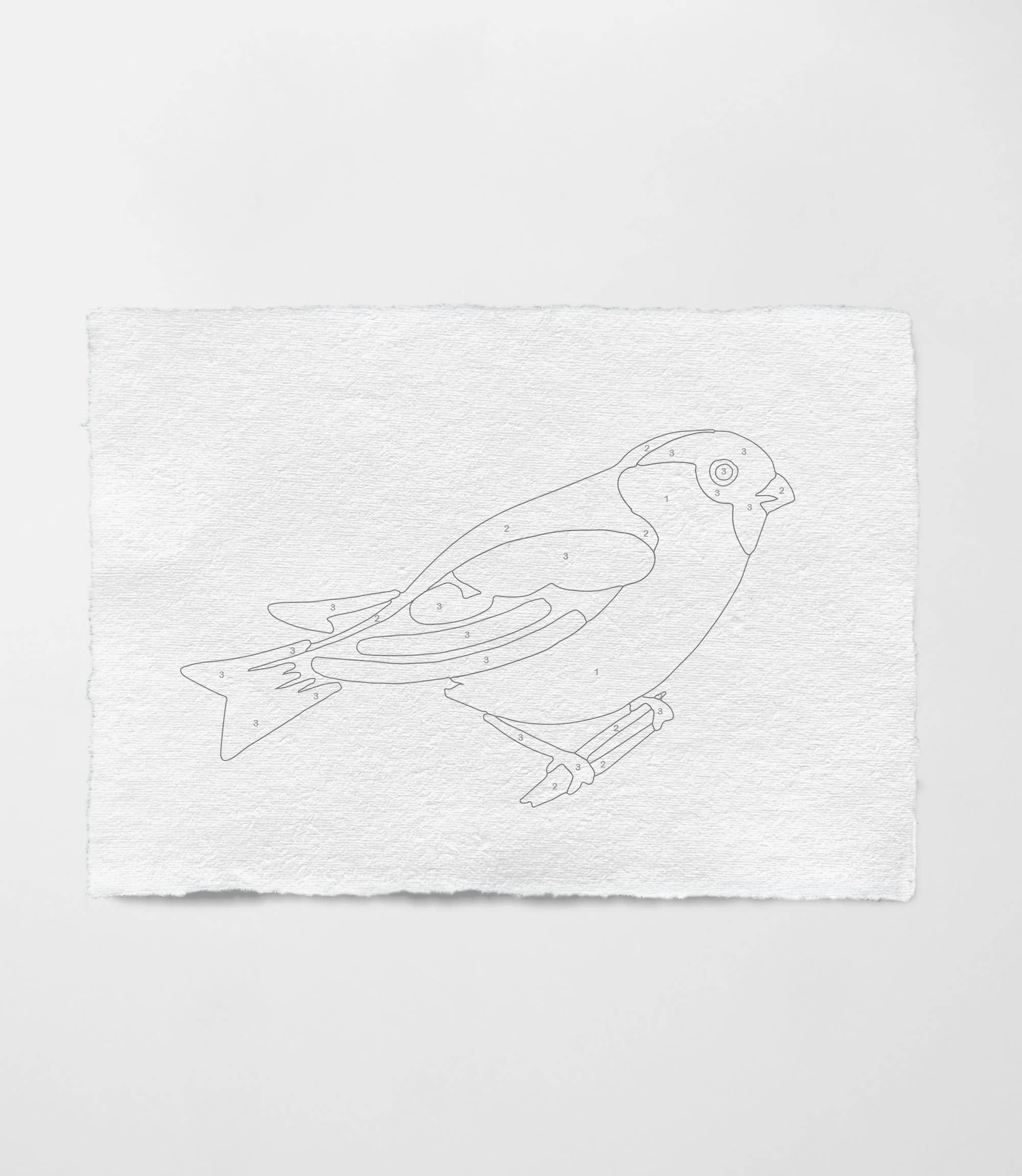 Coloready - Wholesale DIY Craft Kit - Bird Study : Robin  |  Modern Paint By Numbers Kit2