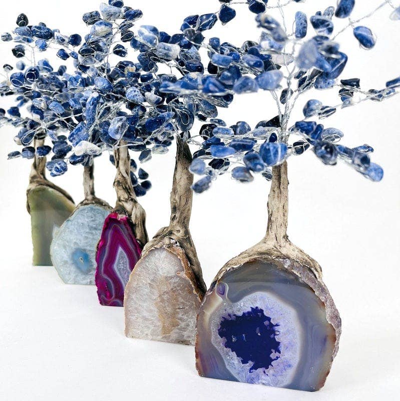 Rock Paradise - Wholesale Spiritual Stone/Crystal - Sodalite Crystal Tree on Agate Geode Base - You Choose Color1