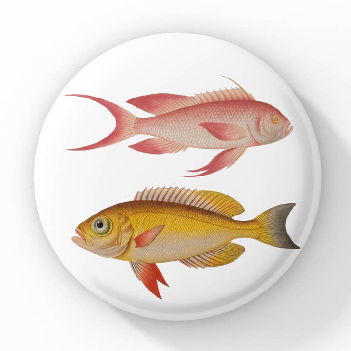 Ocean Fish Pin Button, Ocean Fish Keychain, Fish Magnet for wholesale by NatureCuts