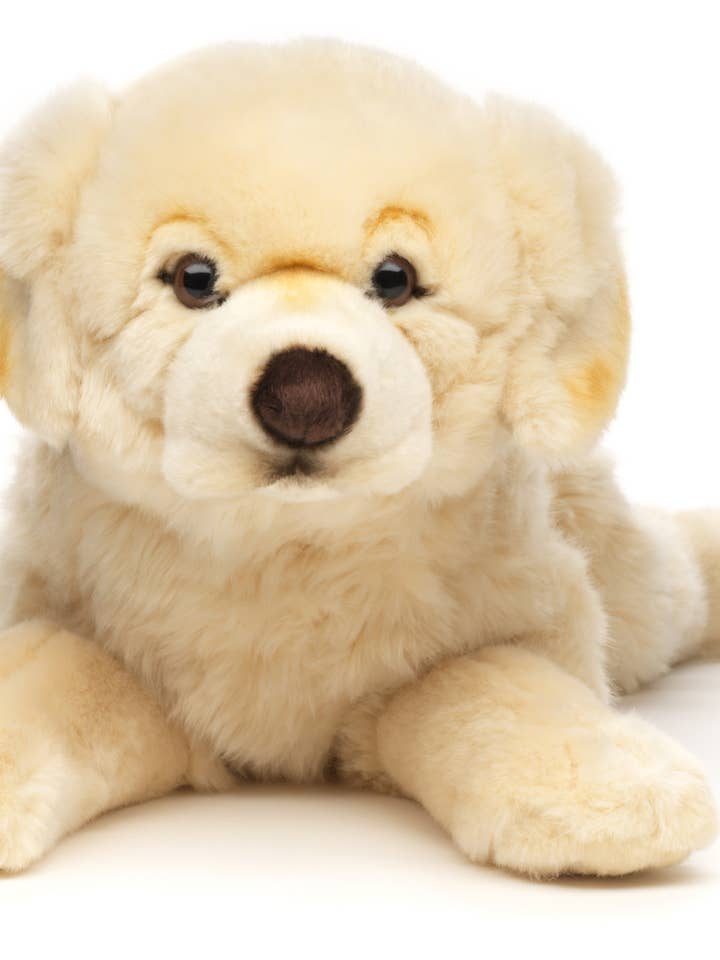 Golden Retriever, lying down (without dishes) cuddly/plush toy for wholesale by Uni Toys