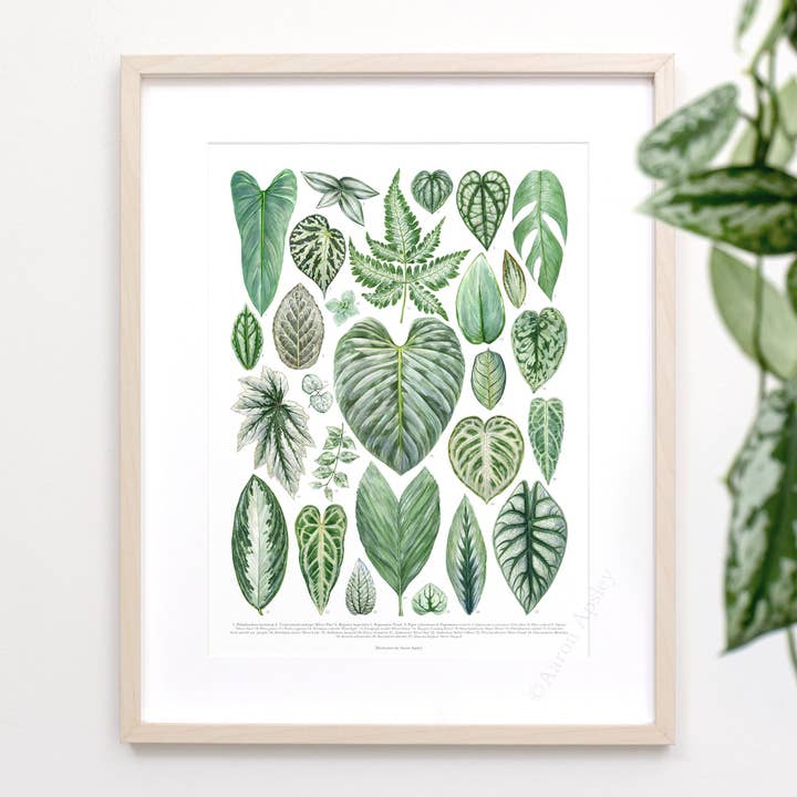 Silver Houseplant Varieties Print for wholesale by Aaron Apsley Artwork