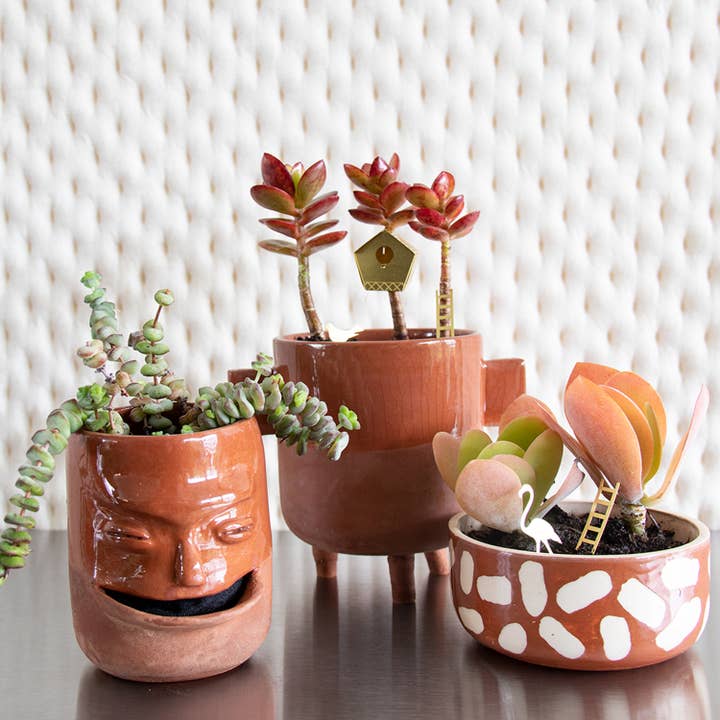 Botanopia - gifts , decor and cards for plant lovers - Wholesale Bird House - Tiny Birdhouse for your plants8