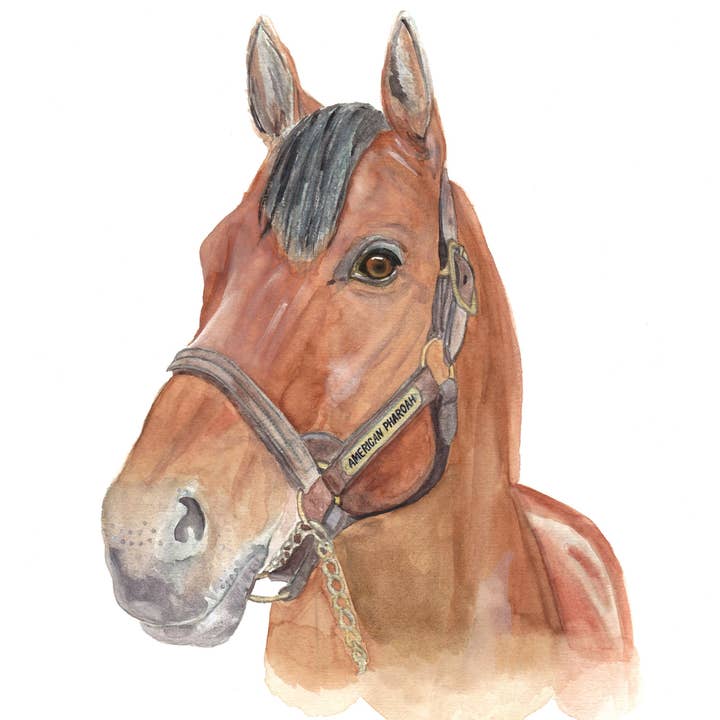 Color Me Eden - Wholesale Art Print - Triple Crown American Pharoah
