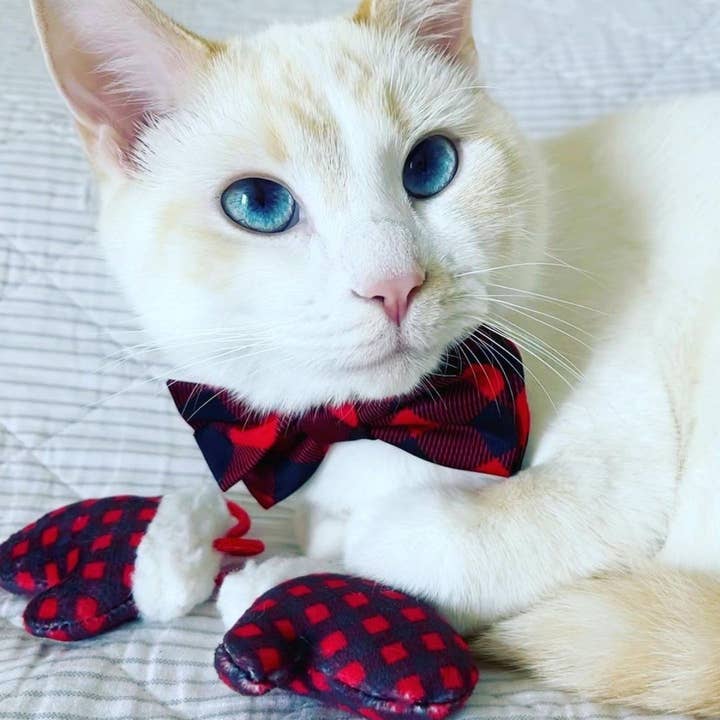 Huxley & Kent - Wholesale Pet Bow Tie - Cat/Dog - Buffalo Check Bow Tie
