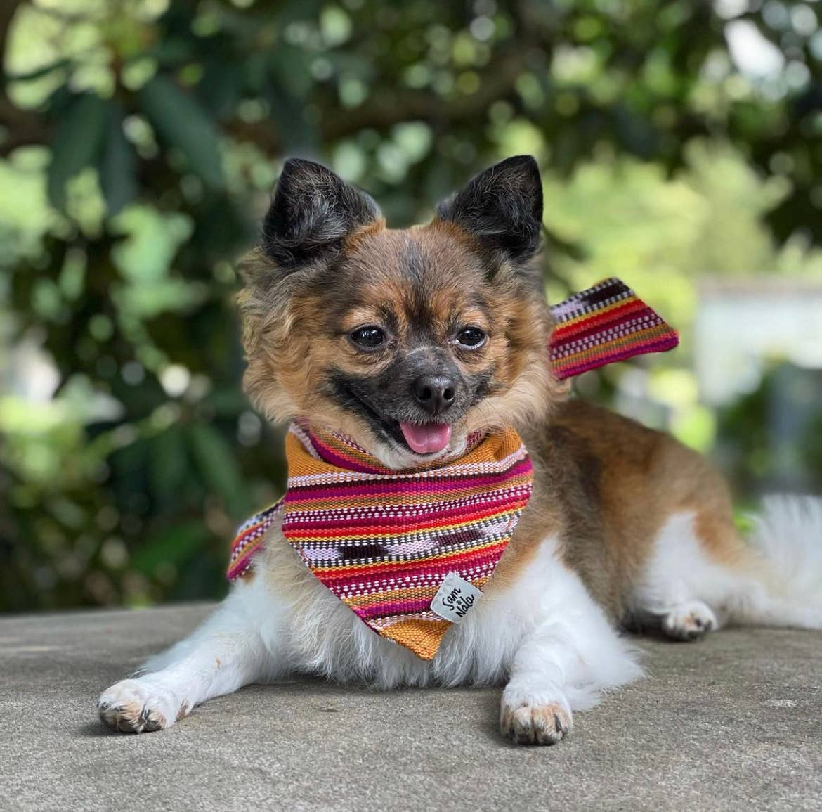 Sam & Nala | intentional style for pets & their people - Wholesale Pet Bandana - Dog - Summer Hat Dog  Bandana Dog- Fair Trade + artisan made2