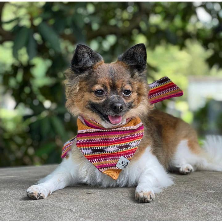 Sam & Nala | intentional style for pets & their people - Wholesale Pet Bandana - Dog - Summer Hat Dog Bandana Dog- Fair Trade + artisan made2