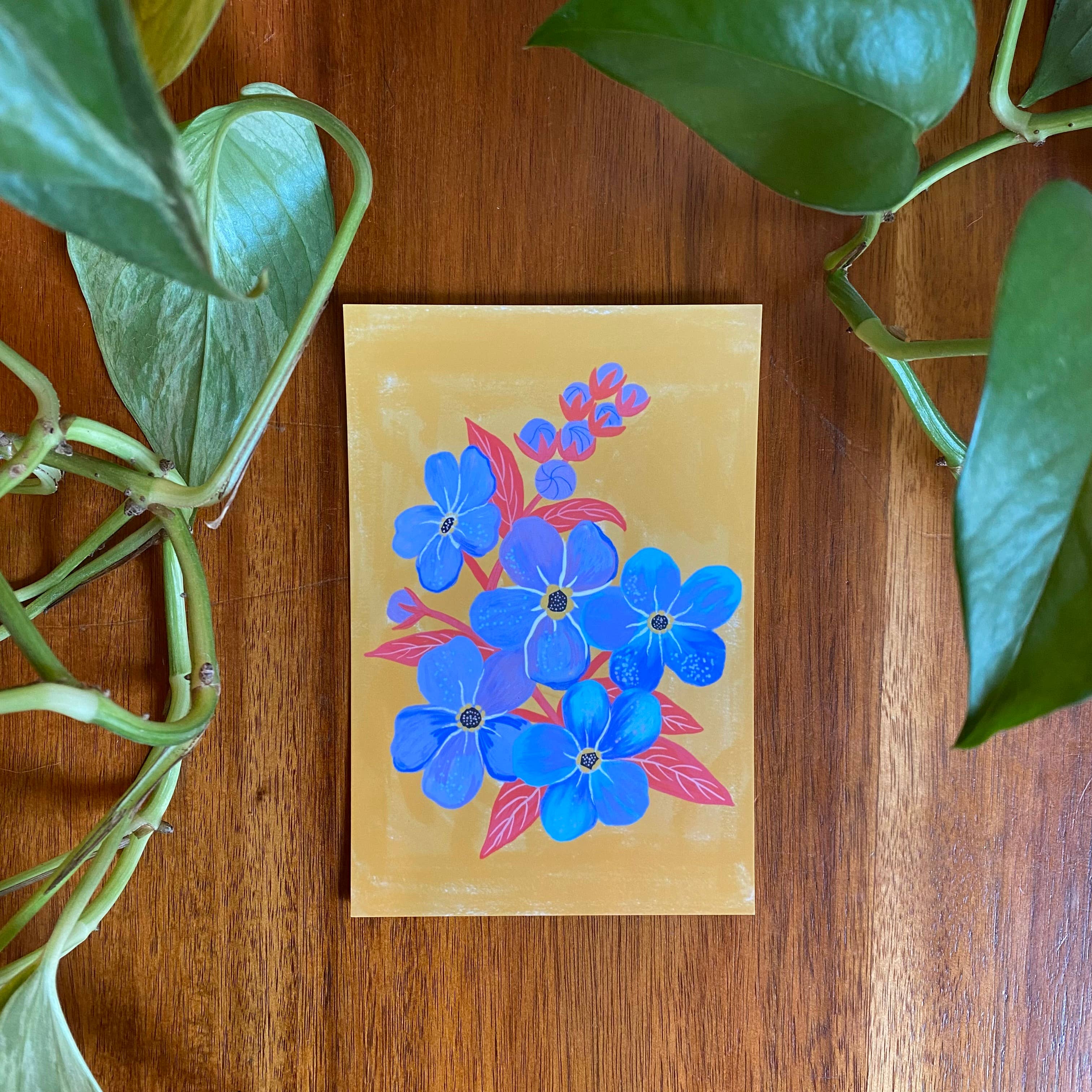 Dream Folk Studio - Wholesale Postcard Set - Pacific Northwest Wildflower Postcard Set - 10 postcards3