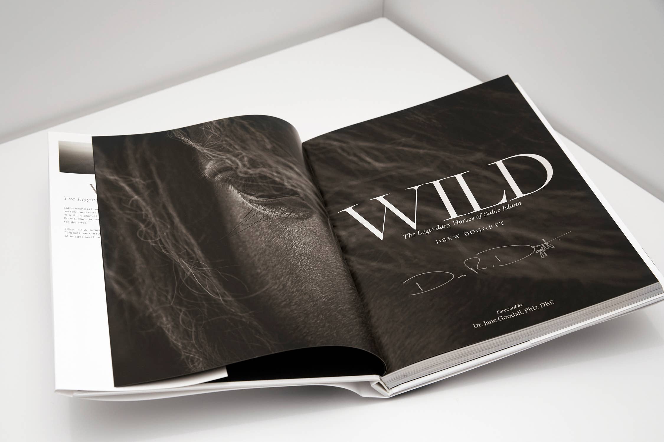 Drew Doggett Photography - Vendita all'ingrosso Display Book - Wild: I leggendari cavalli di Sable Island2