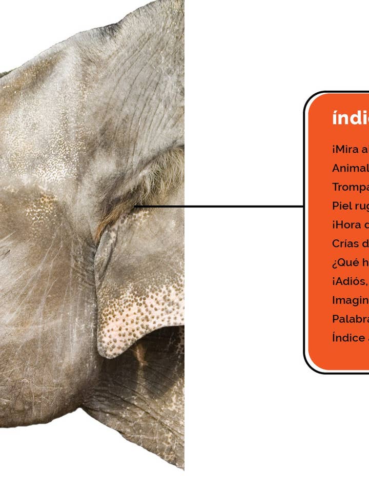 Los elefantes für den Großhandel von The Creative Company