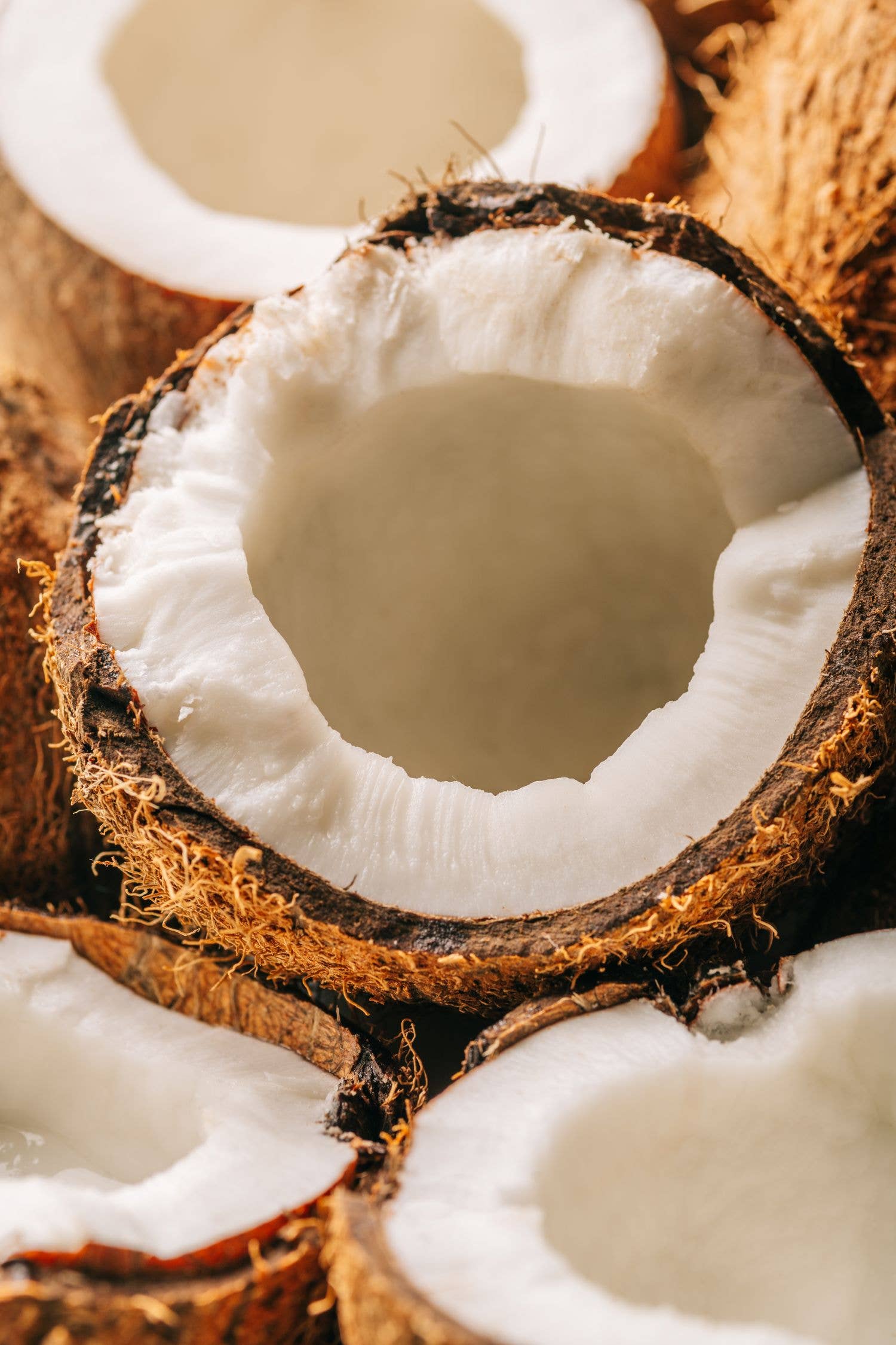 Duriense - Wholesale Cookie - Coconut Rings - Classic Range3