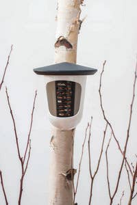 SingingFriend - Wholesale Bird feeder - Hello Multi plastic bird feeder2