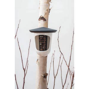 Hello Multi plastic bird feeder voor wholesale door SingingFriend